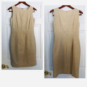 Calvin Klein Shift Dress